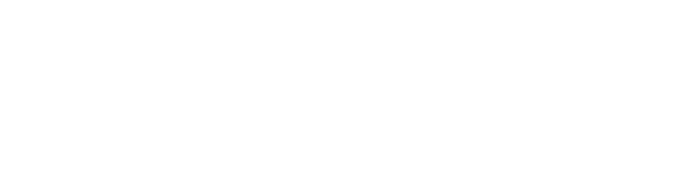 SLC Audit